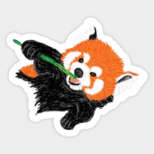 Artwork showing a Red Panda eating Bamboo I Sticker
